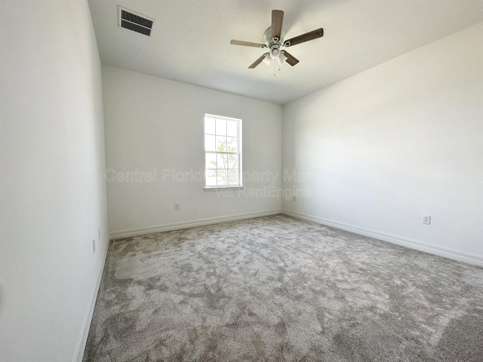 Gallery Image 20