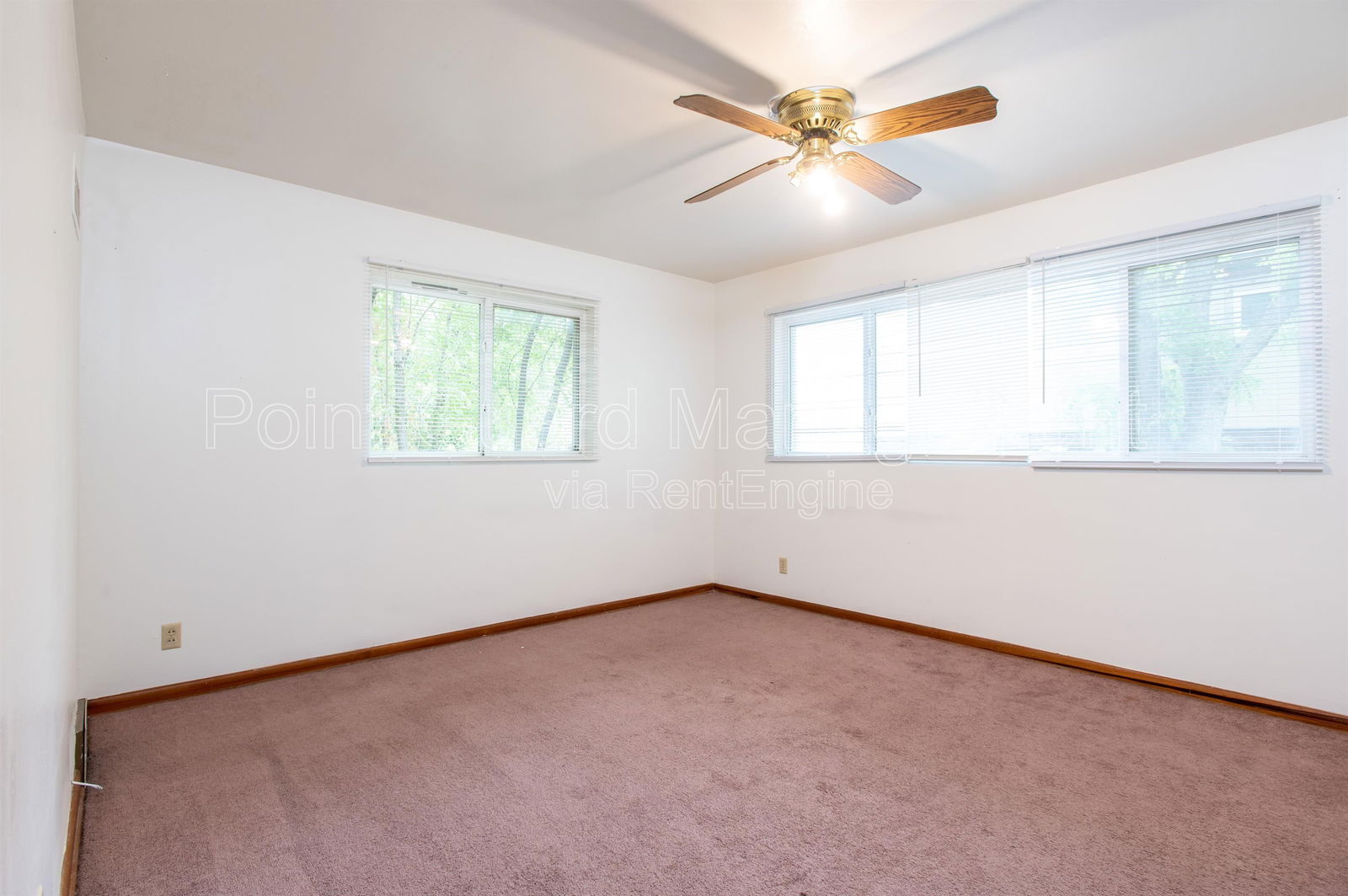 Gallery Image 19