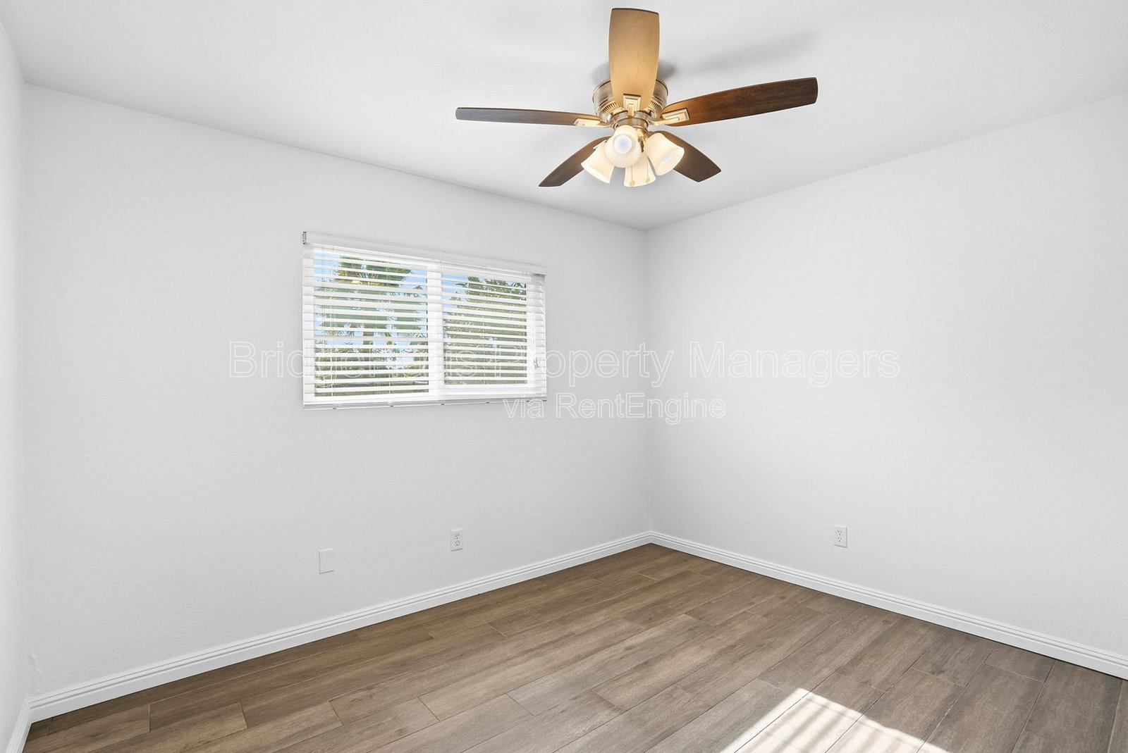 Gallery Image 20