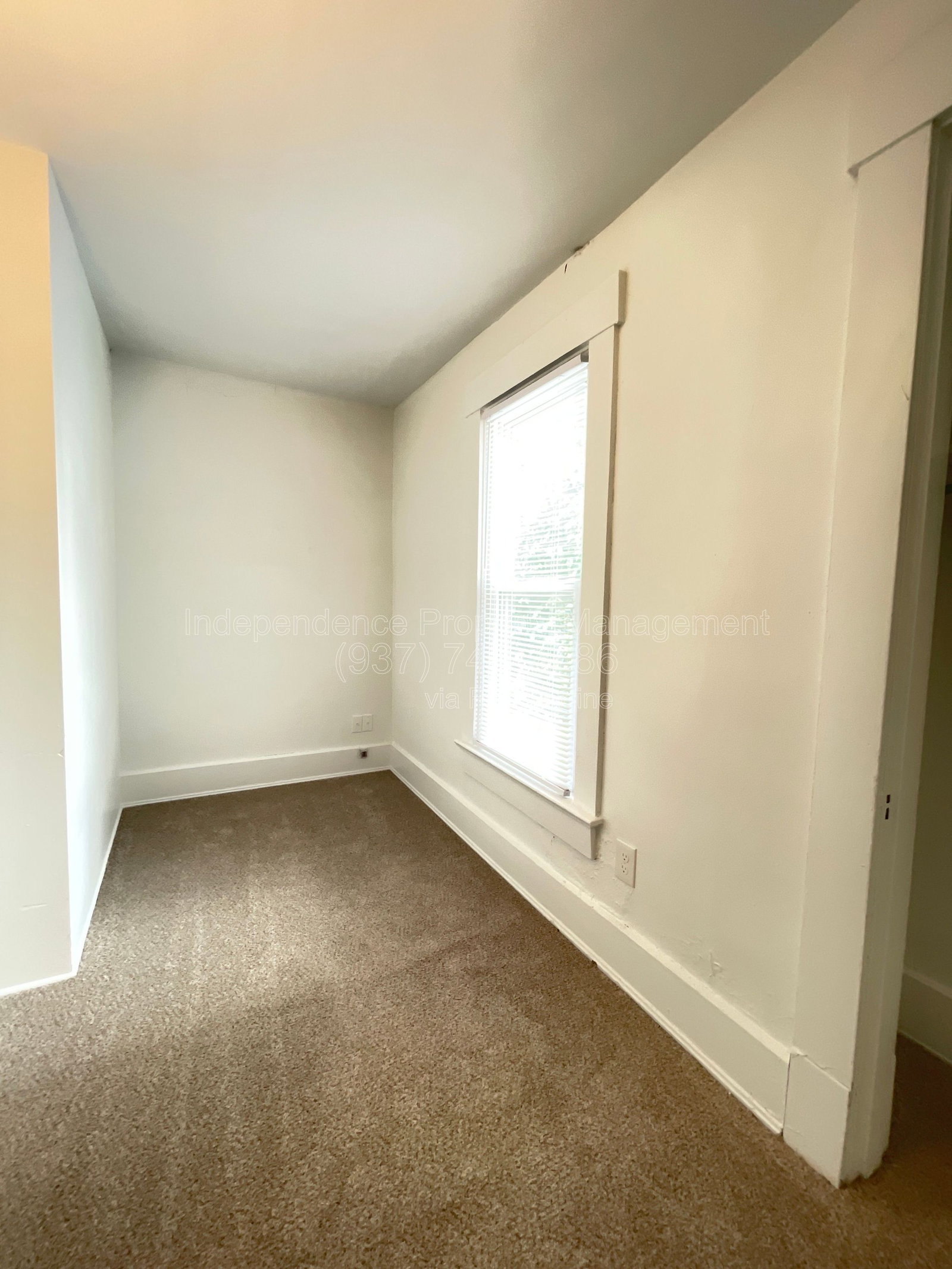 Gallery Image 19