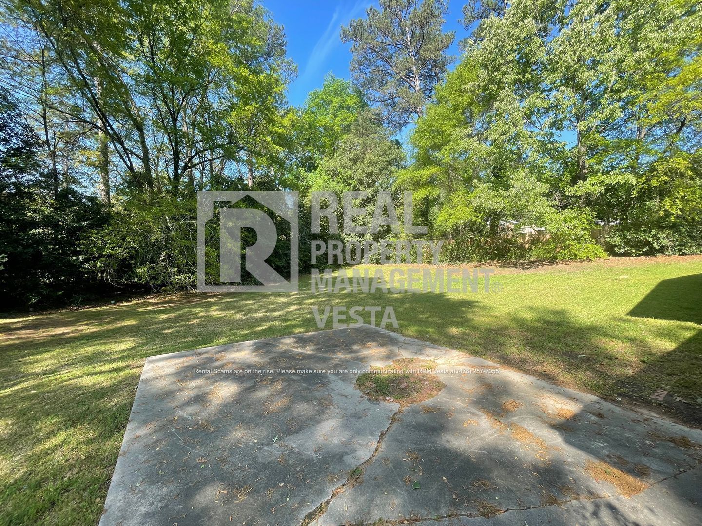 Gallery Image 15