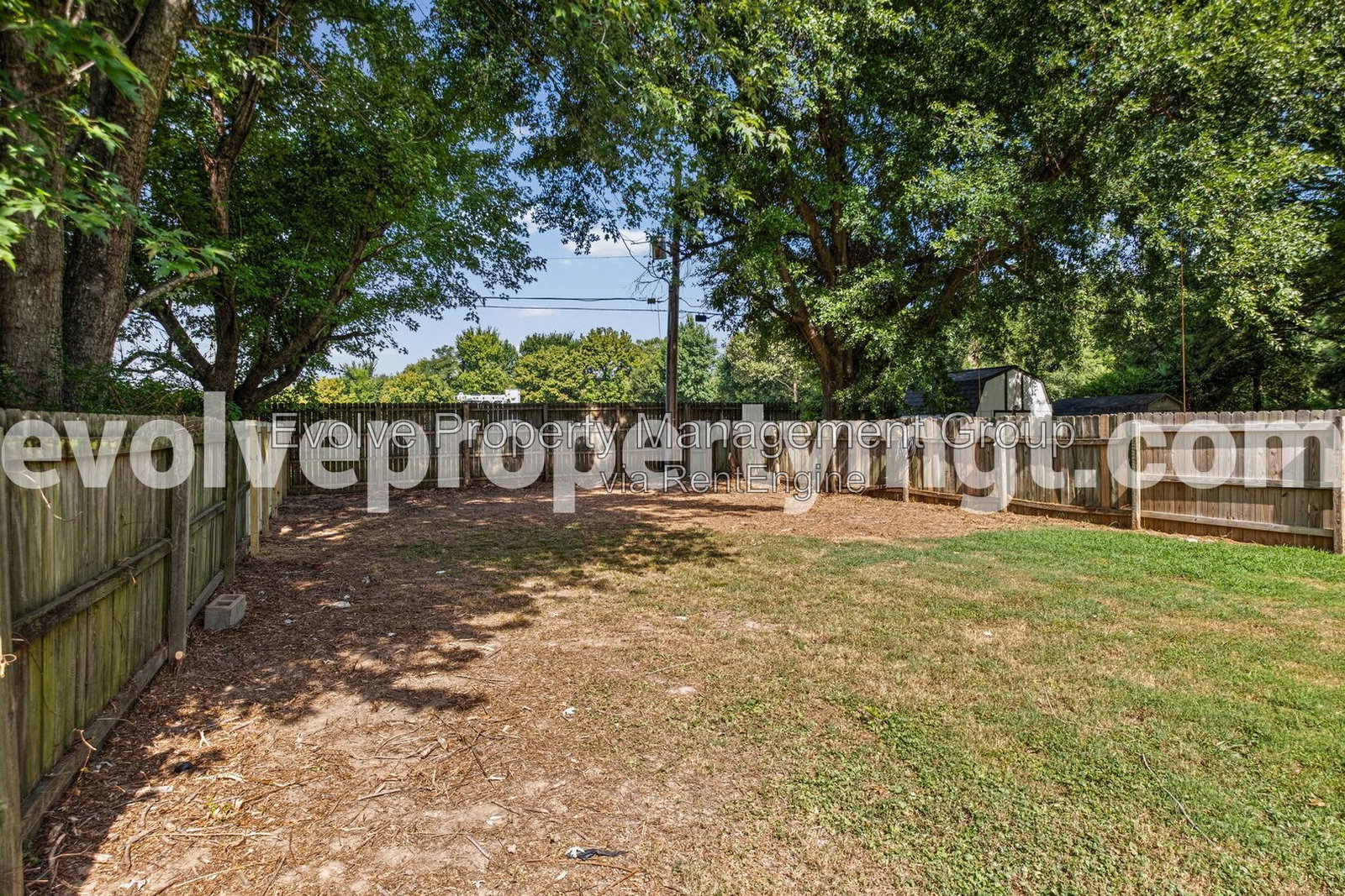Gallery Image 17
