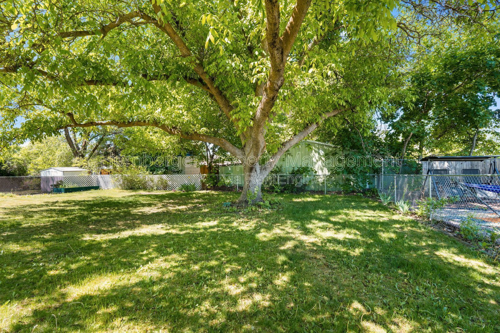 Gallery Image 28