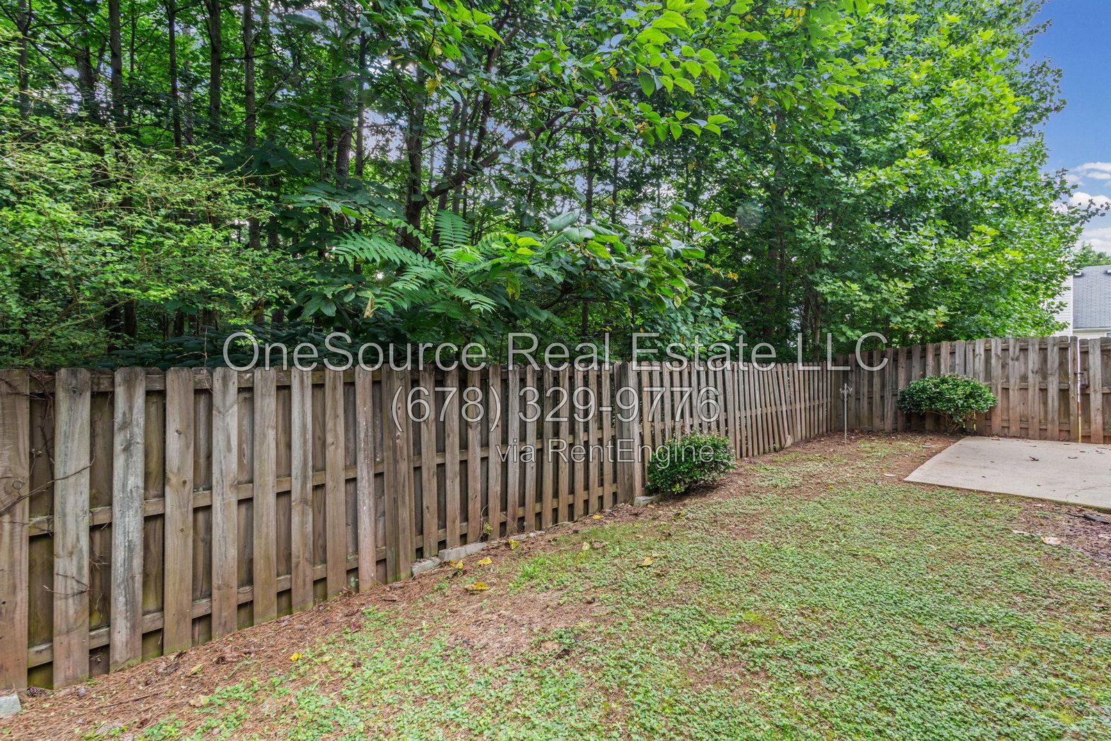 Gallery Image 41