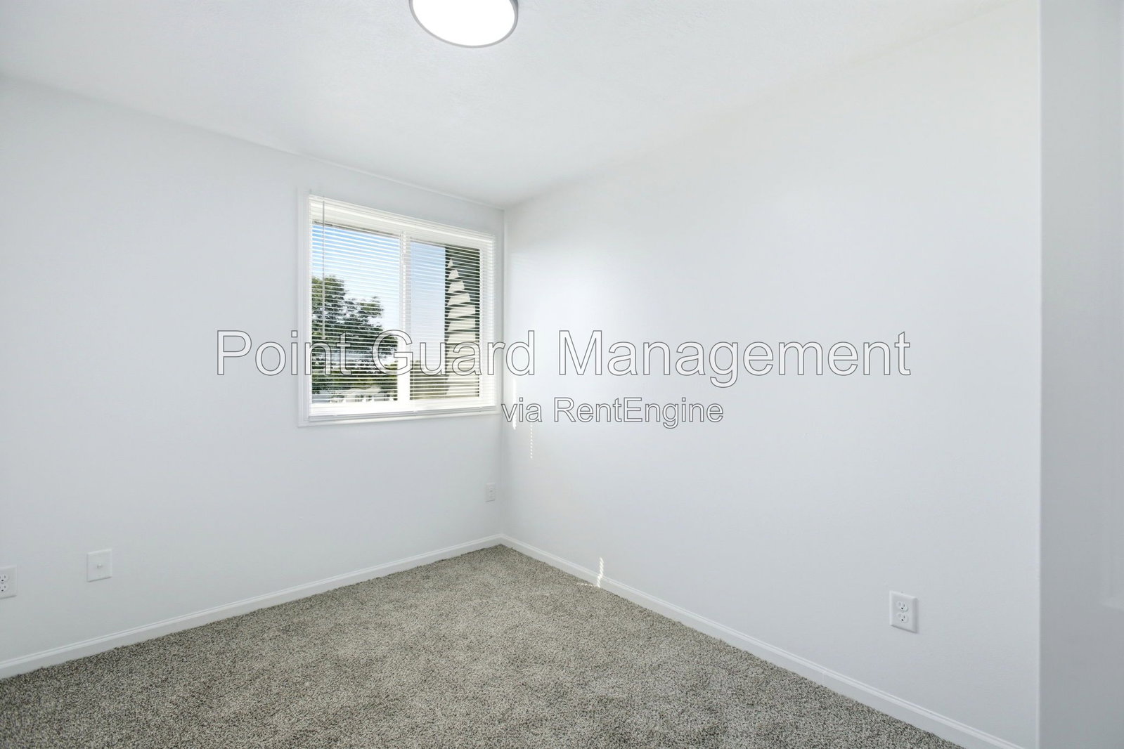 Gallery Image 20
