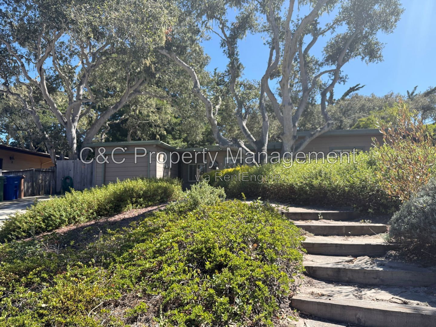 Gallery Image 18