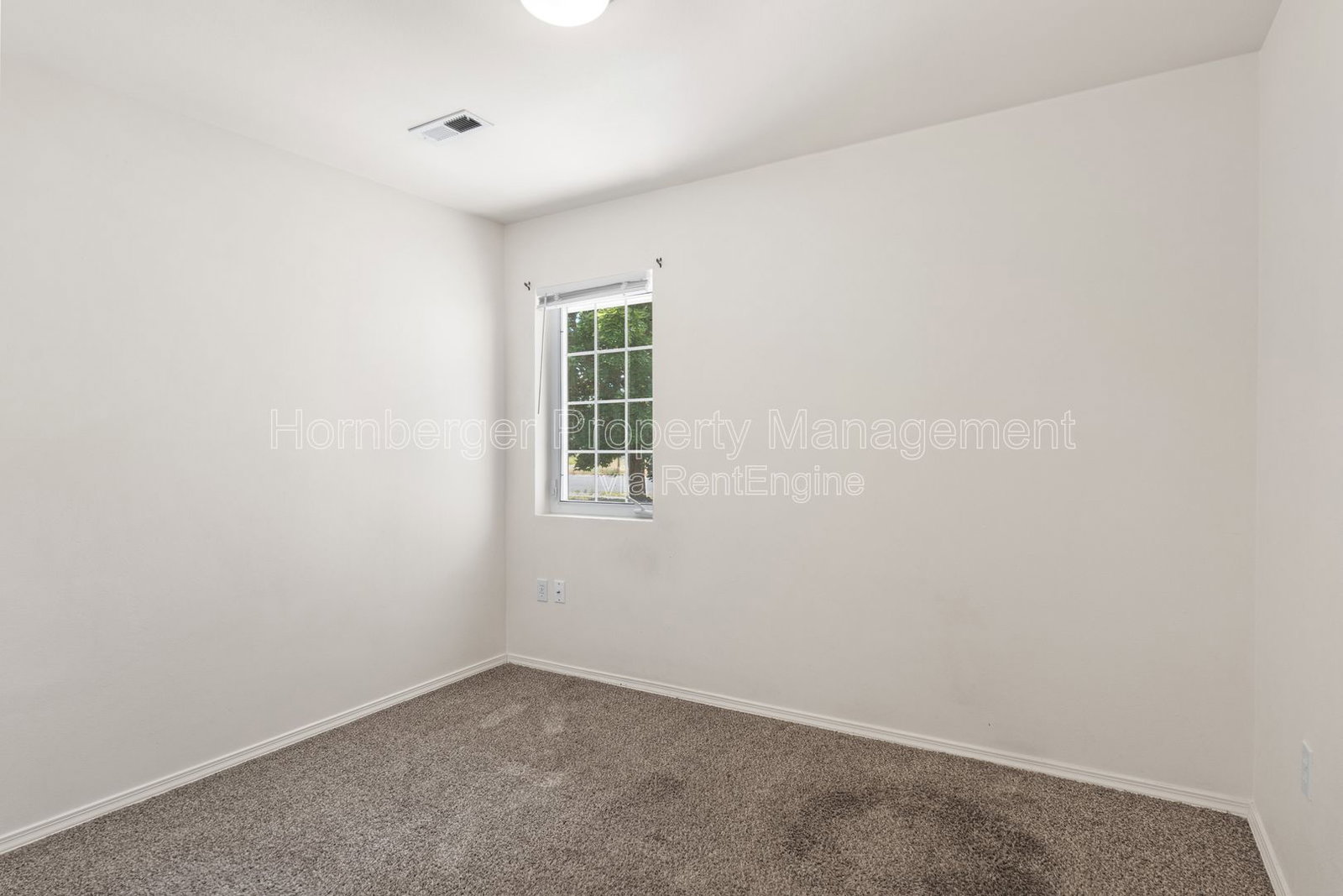 Gallery Image 19