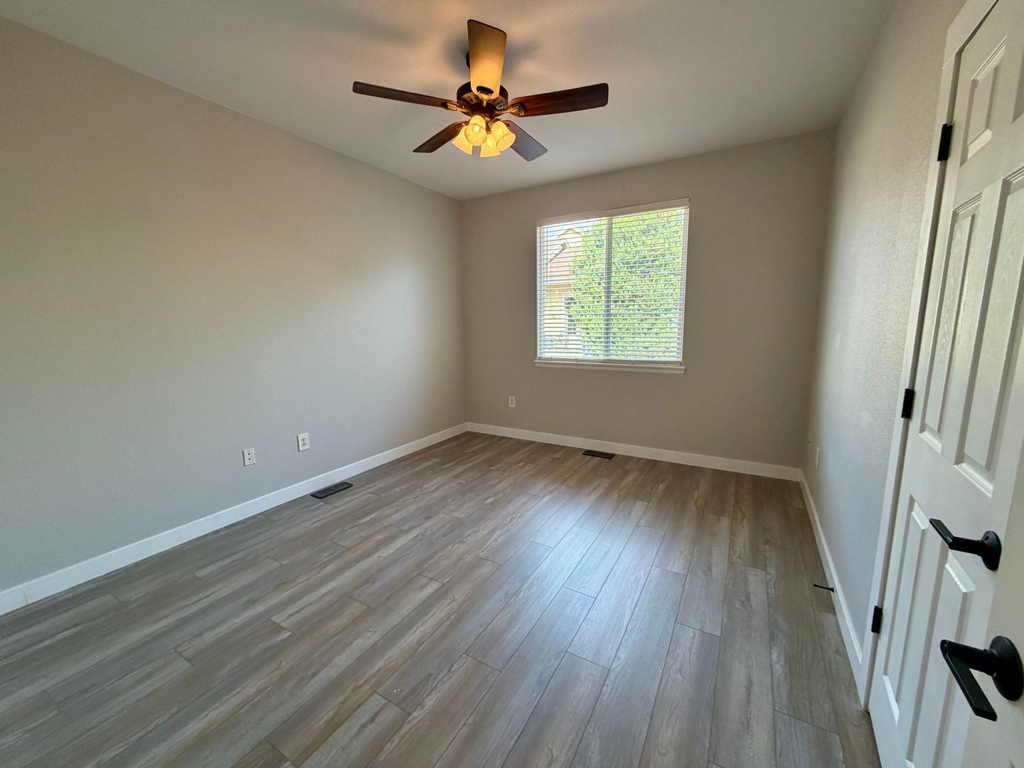 Gallery Image 19