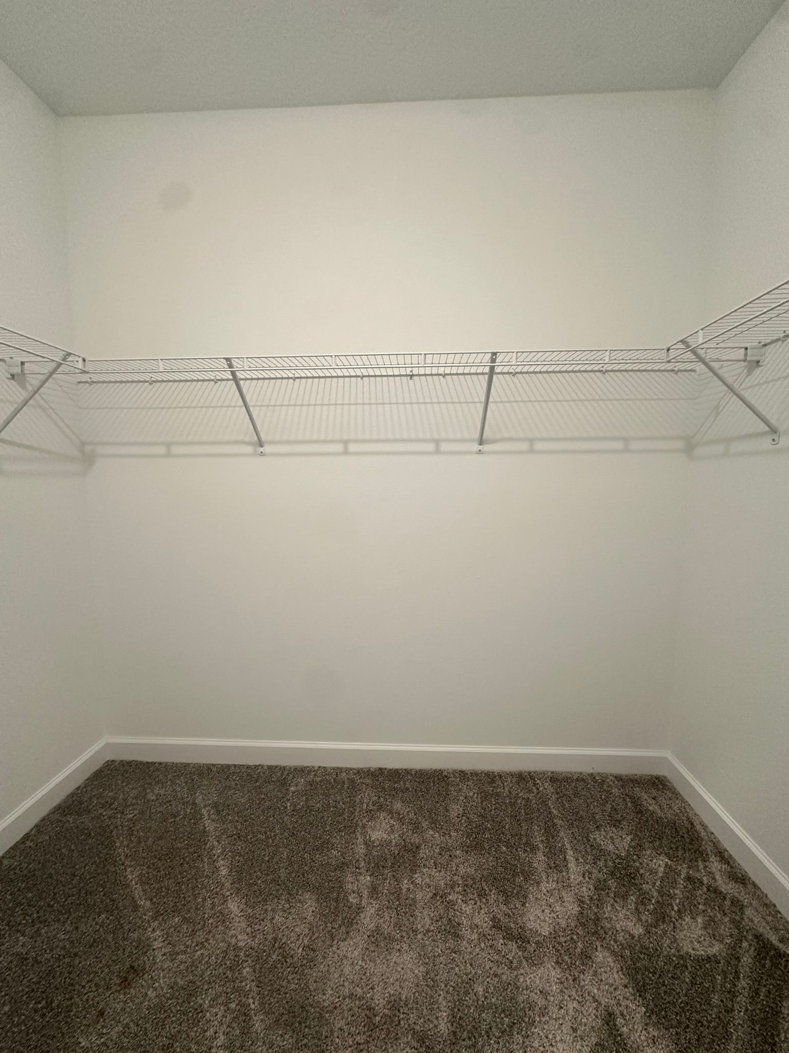 Gallery Image 31