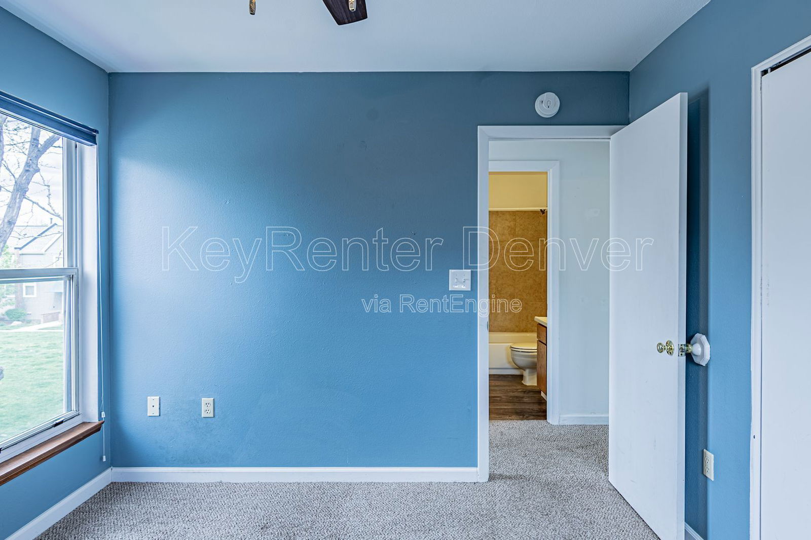 Gallery Image 19