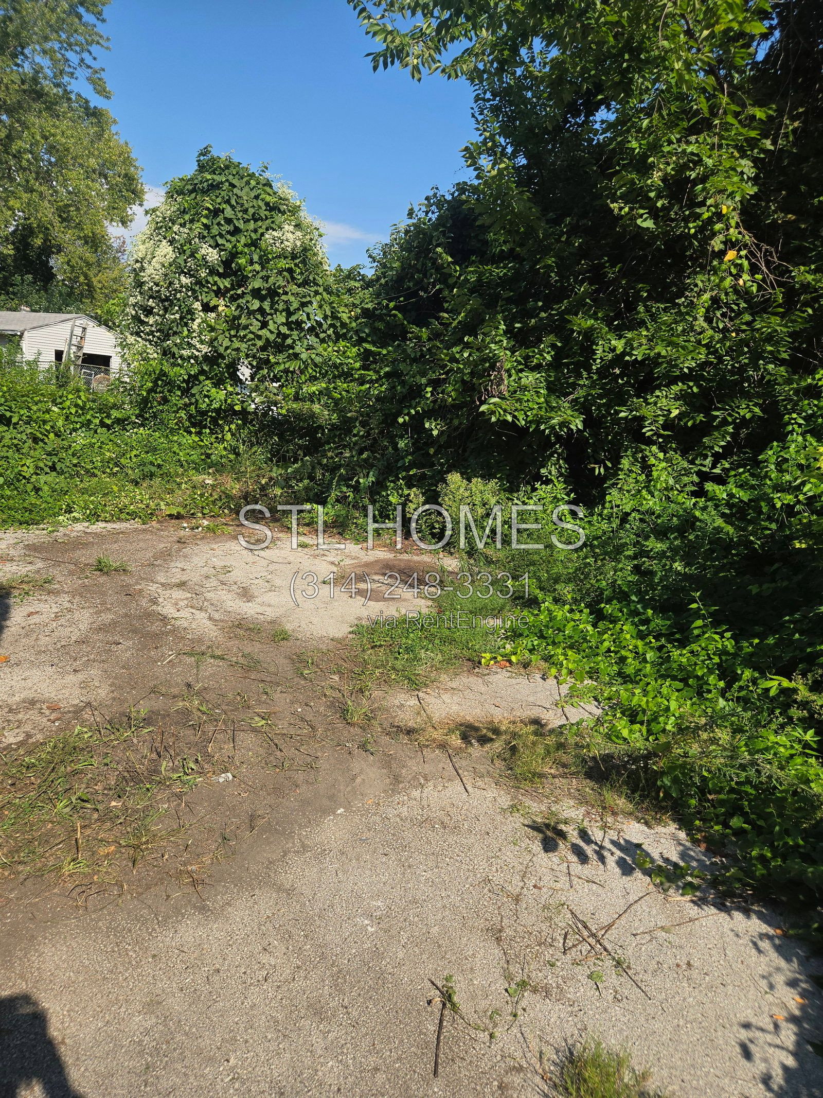 Gallery Image 28