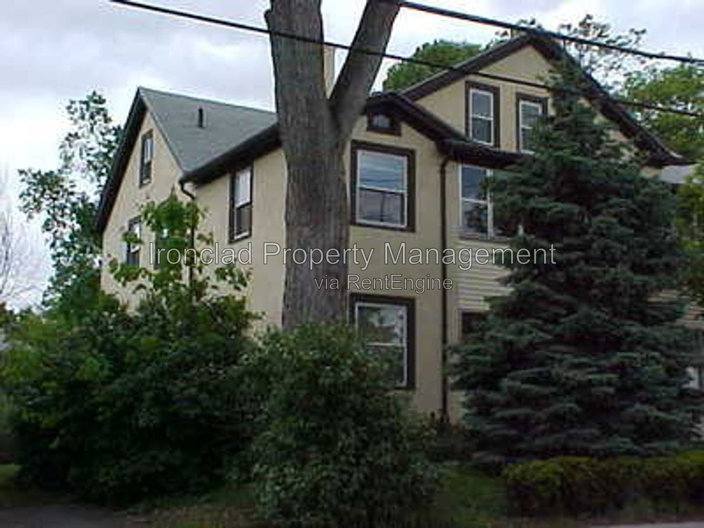 Gallery Image 0