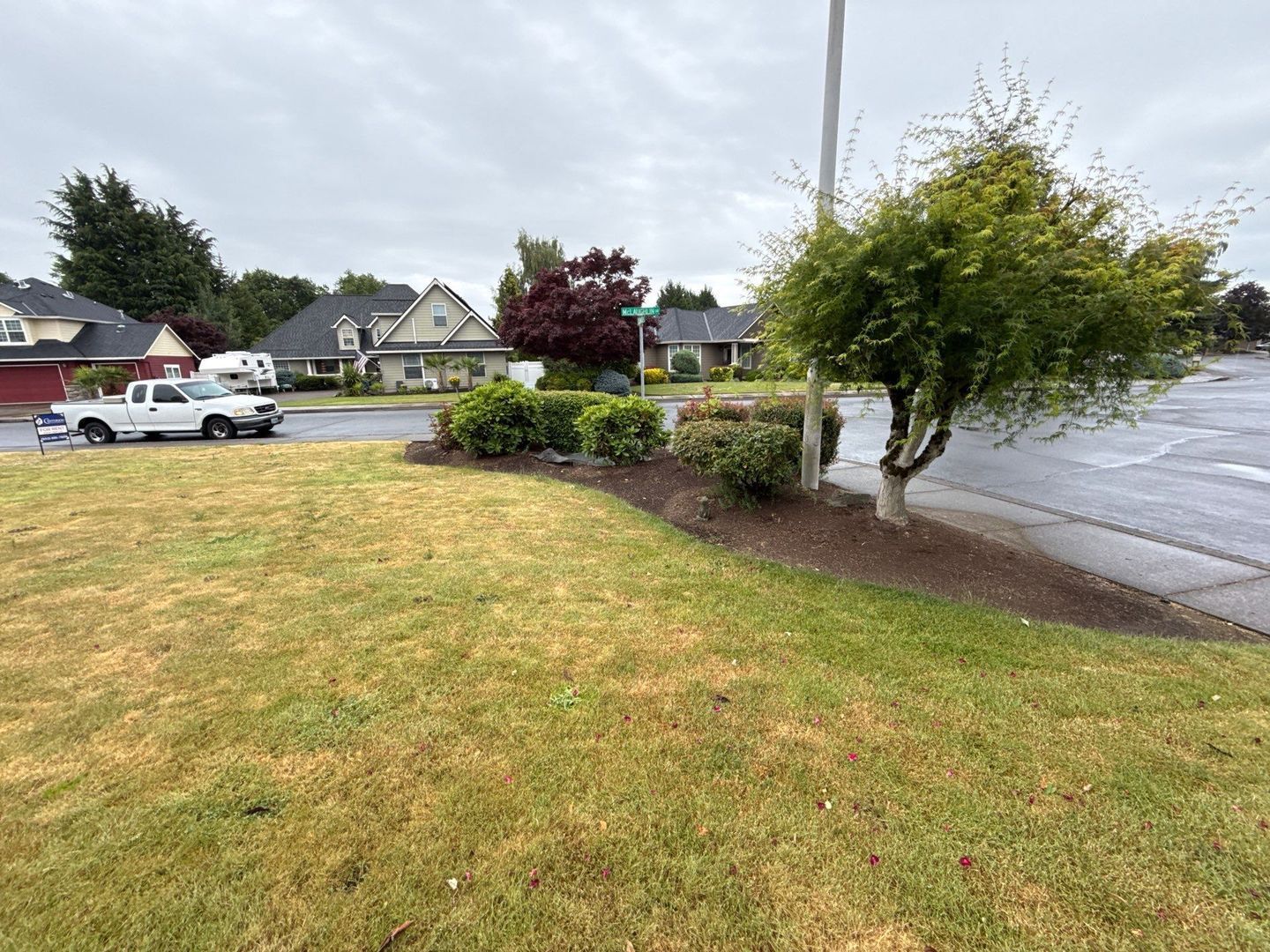 Gallery Image 41