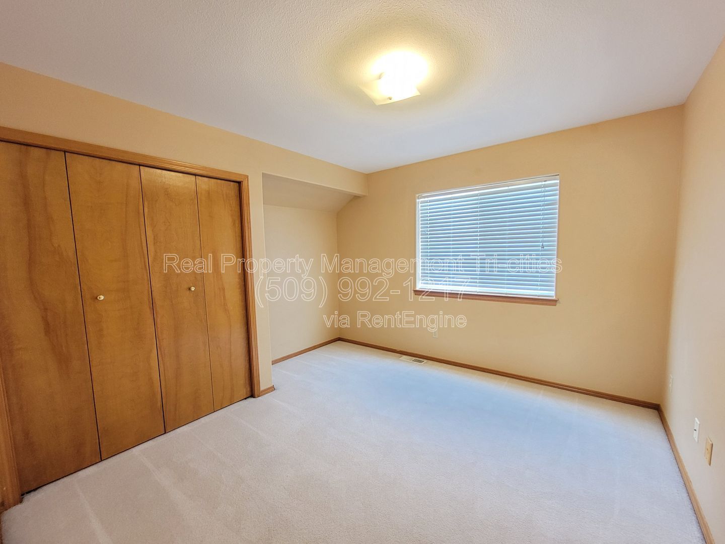 Gallery Image 20