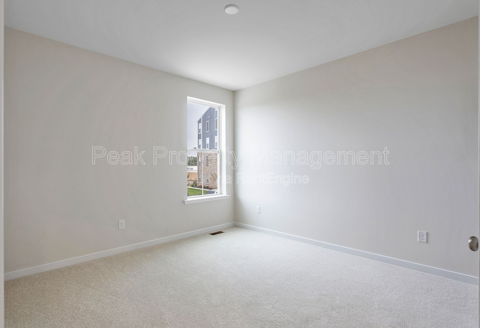 Gallery Image 20