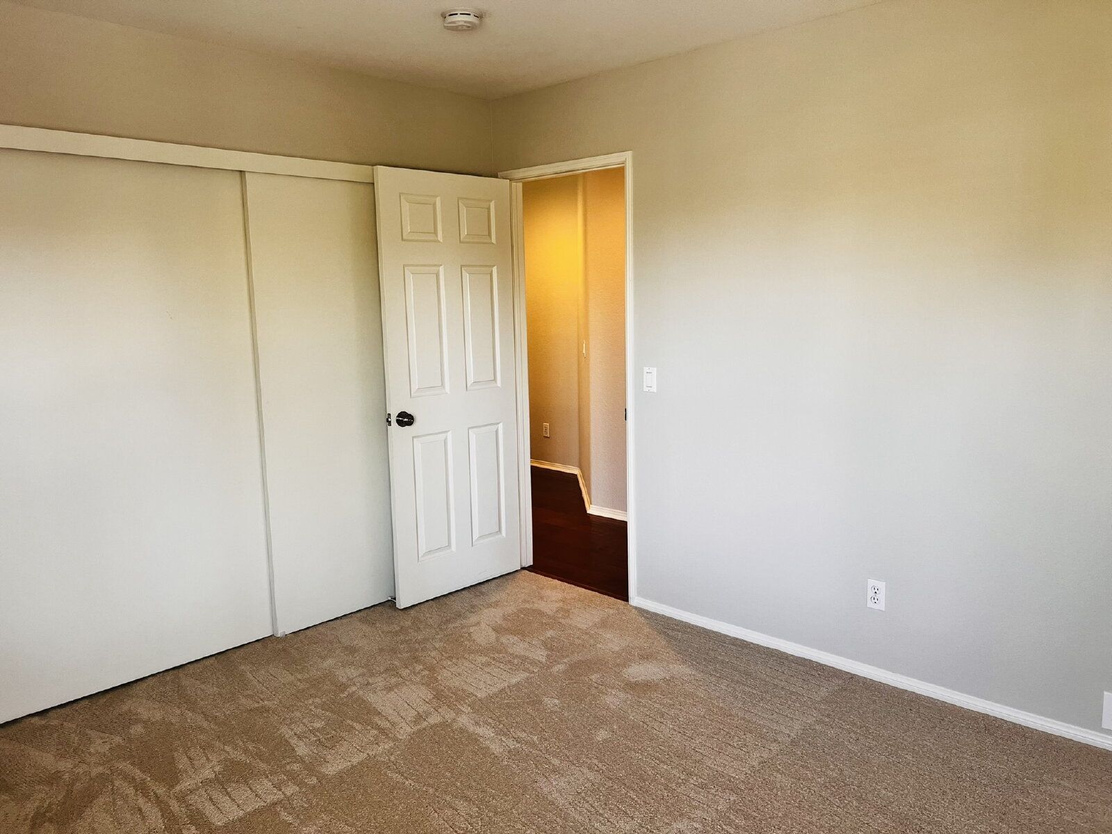 Gallery Image 39