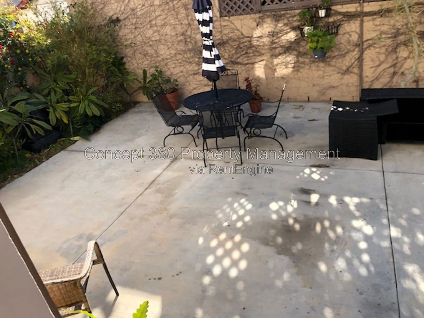 Gallery Image 38