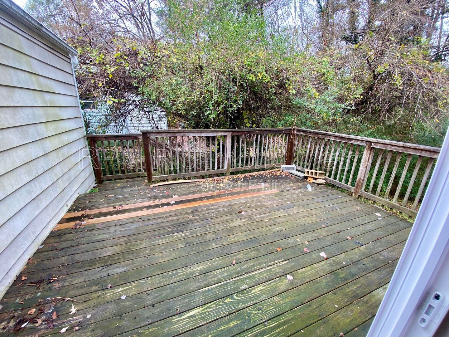 Gallery Image 18