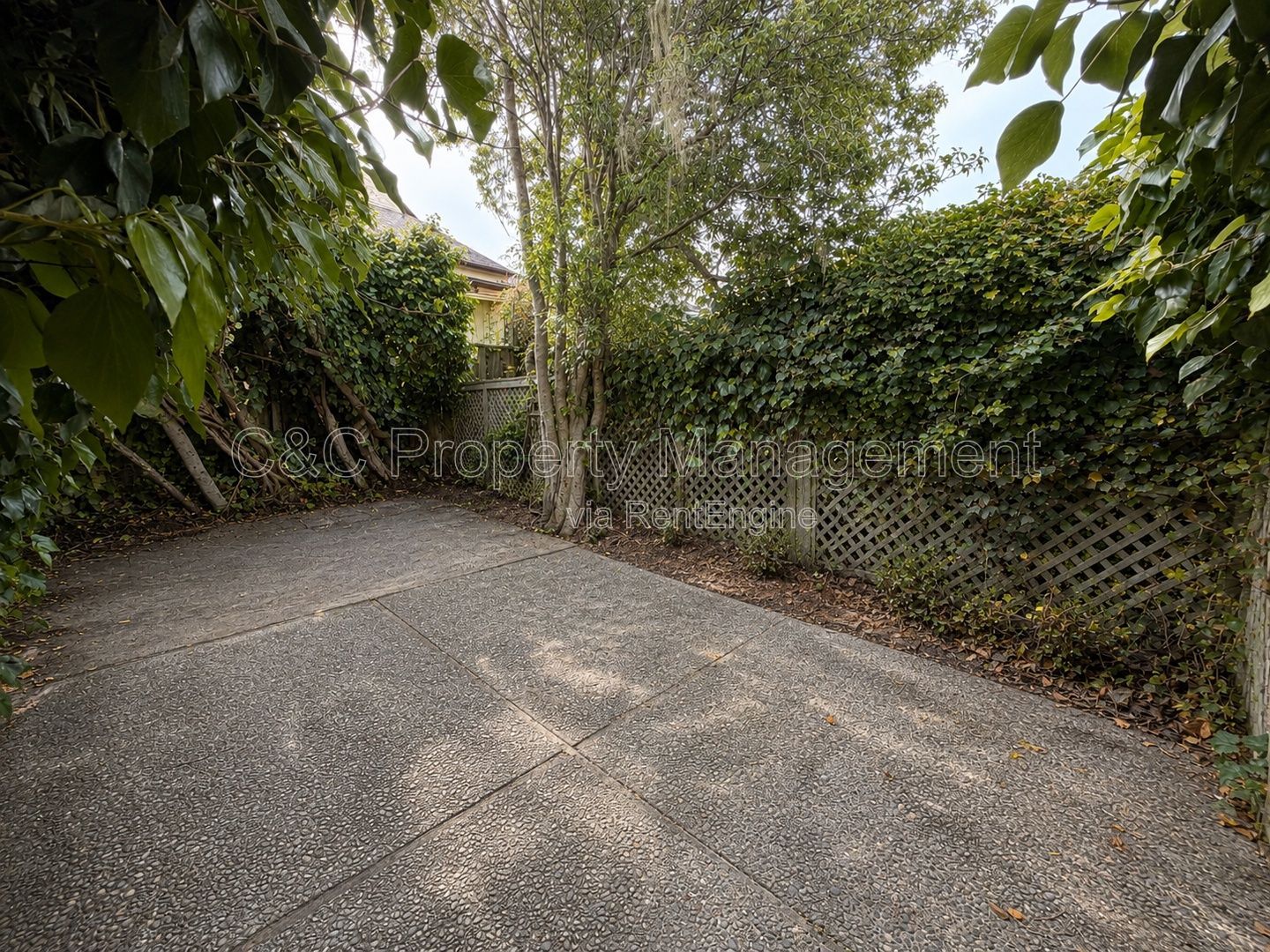 Gallery Image 15