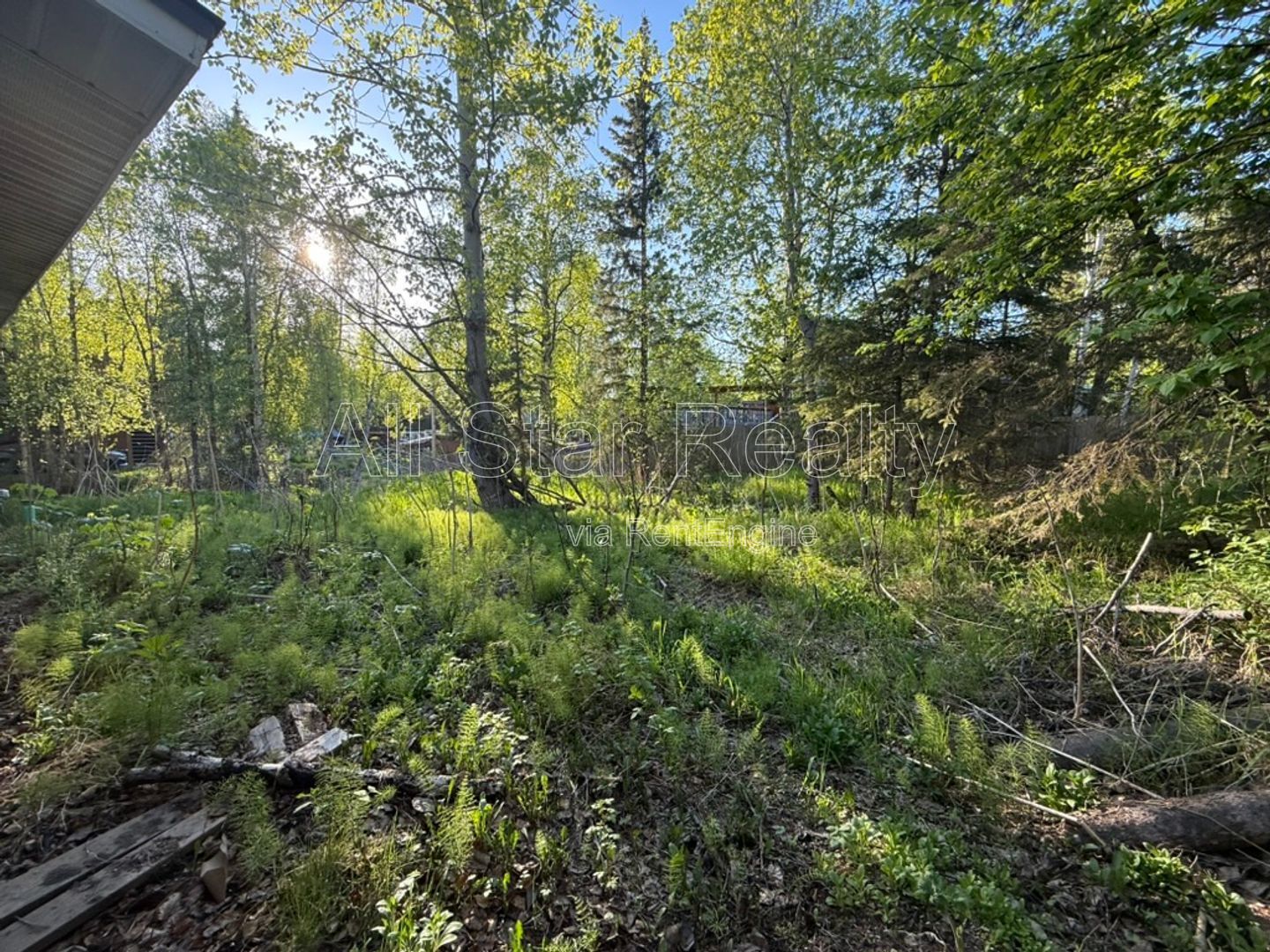 Gallery Image 20