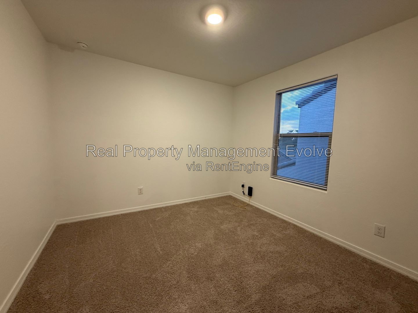Gallery Image 20