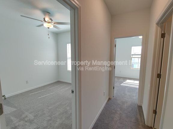 Gallery Image 17