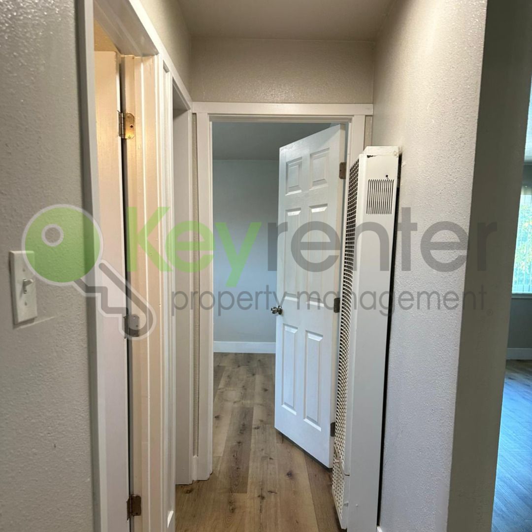 Gallery Image 20