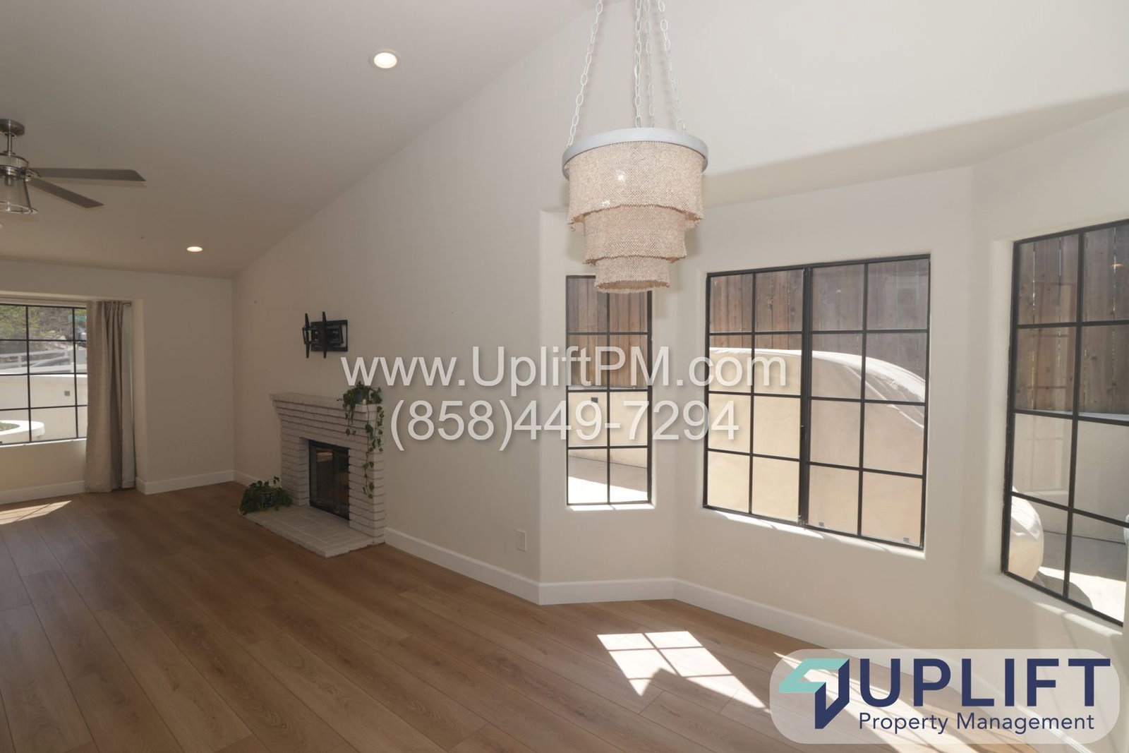 Gallery Image 7