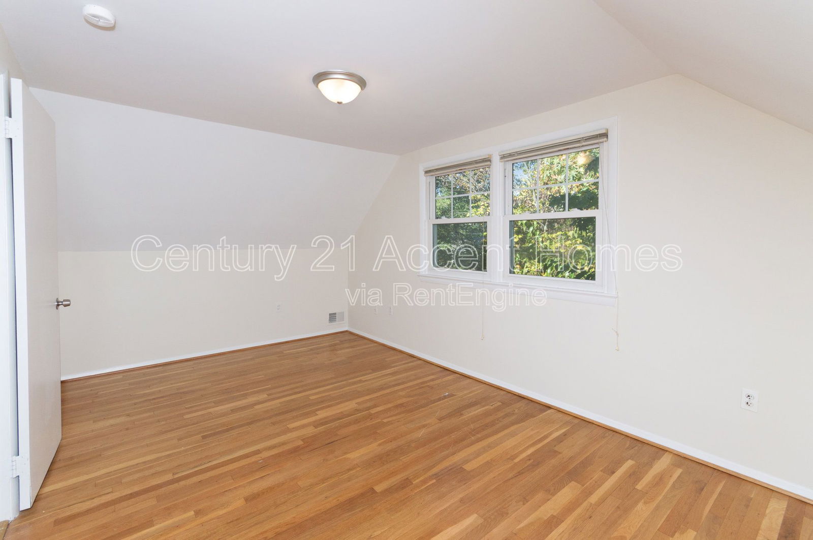 Gallery Image 19