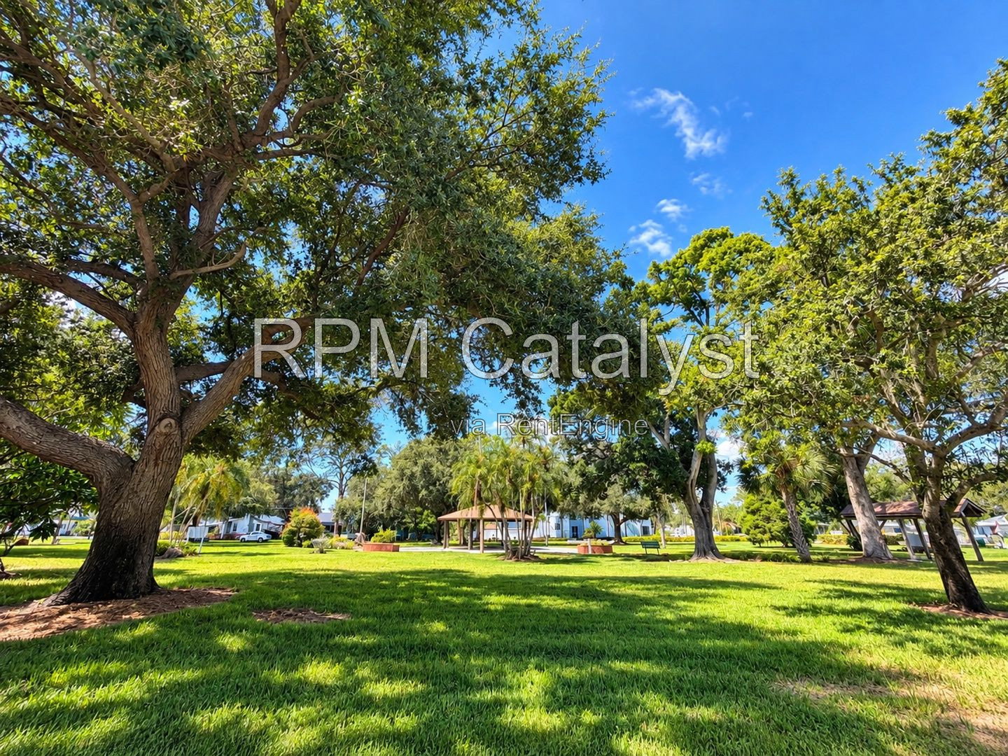 Gallery Image 17