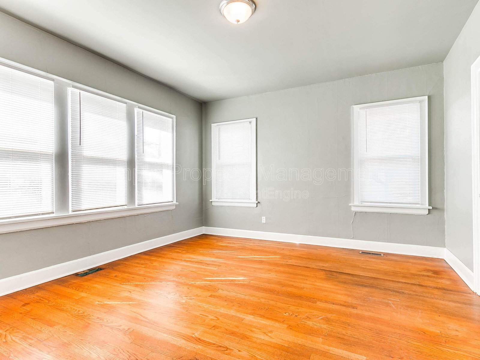 Gallery Image 16