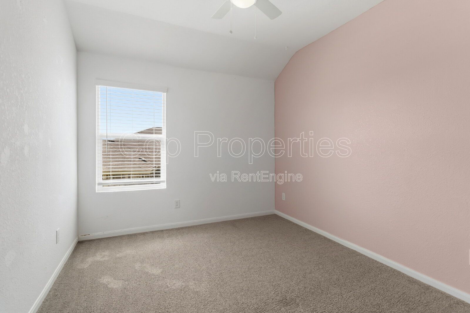 Gallery Image 29