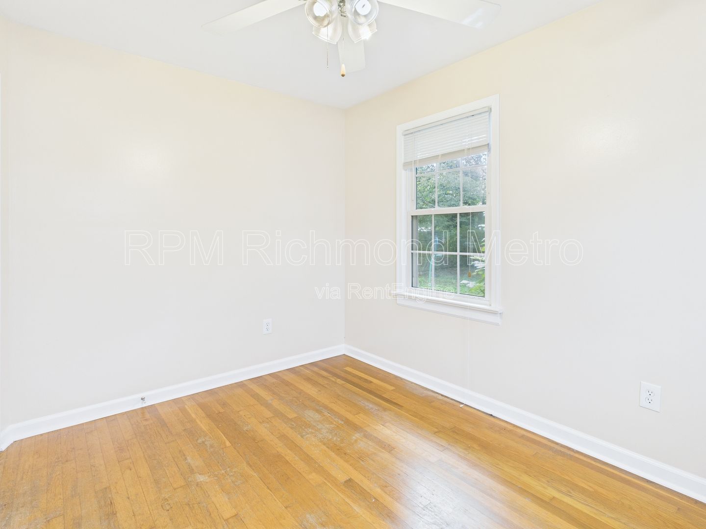 Gallery Image 21