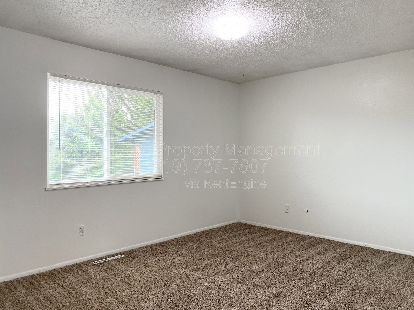 Gallery Image 19