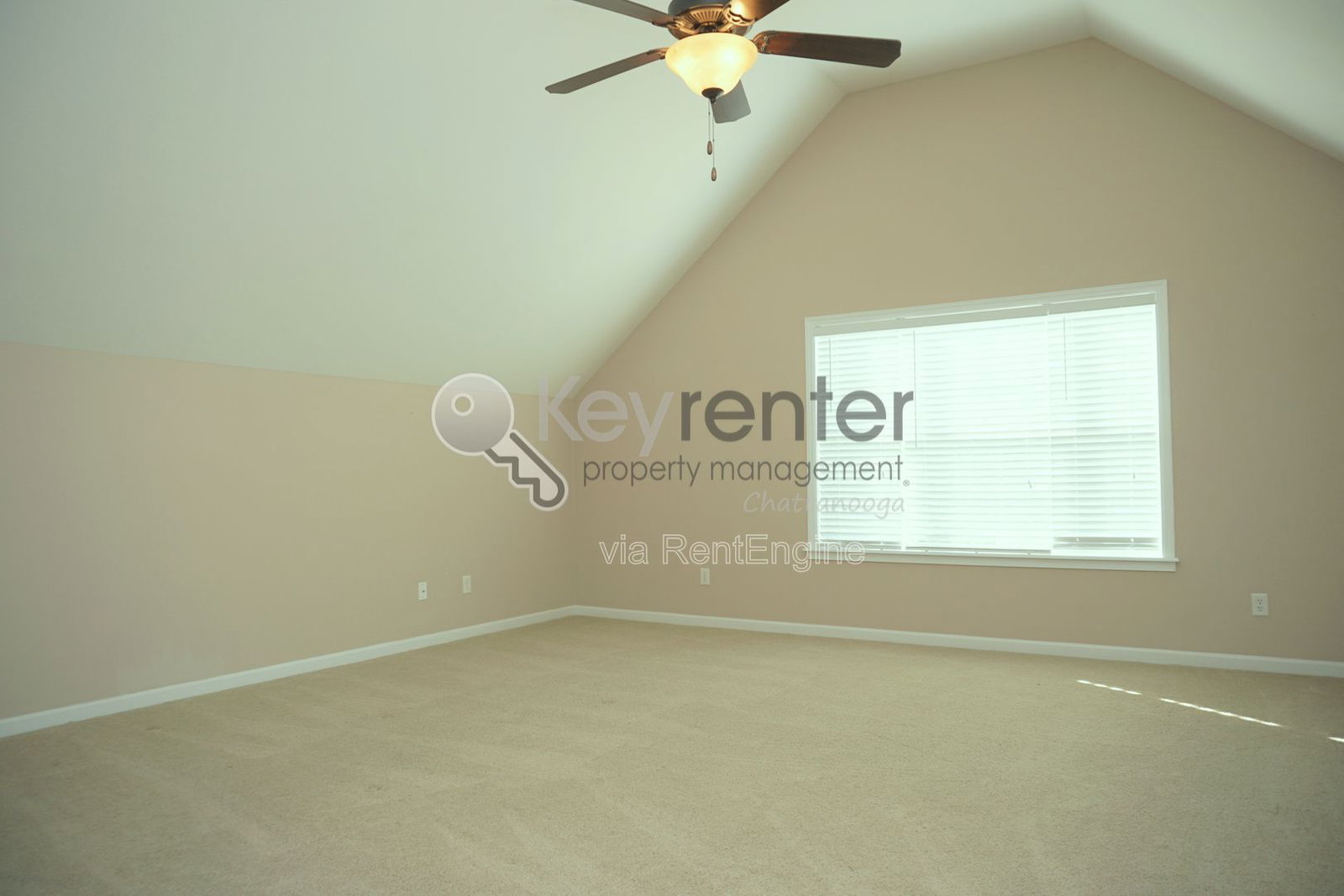 Gallery Image 23