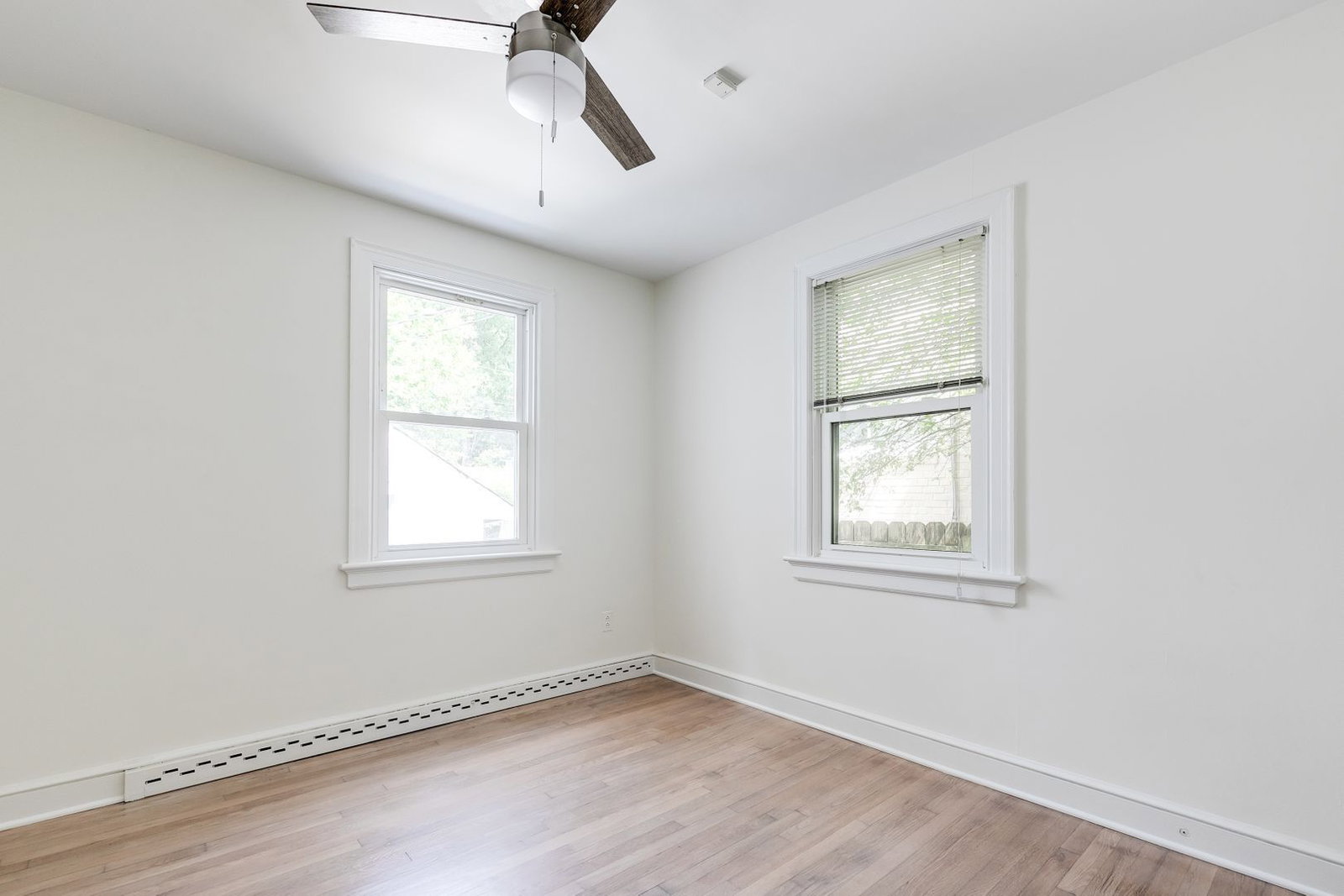 Gallery Image 19