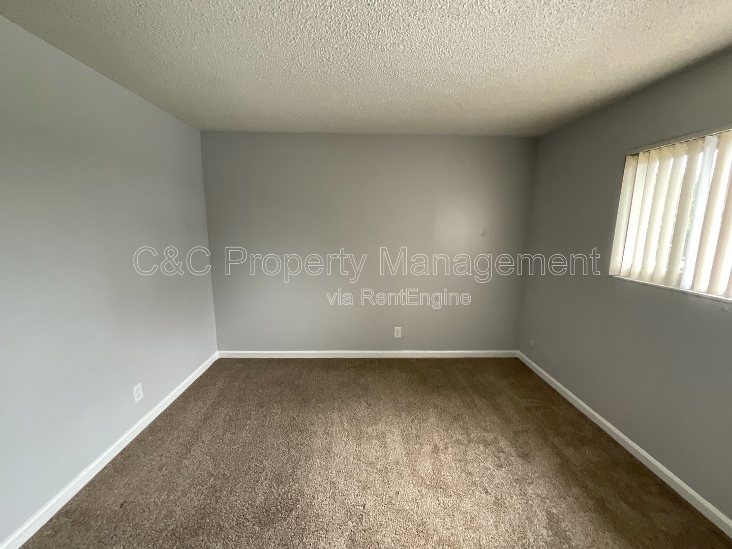 Gallery Image 19