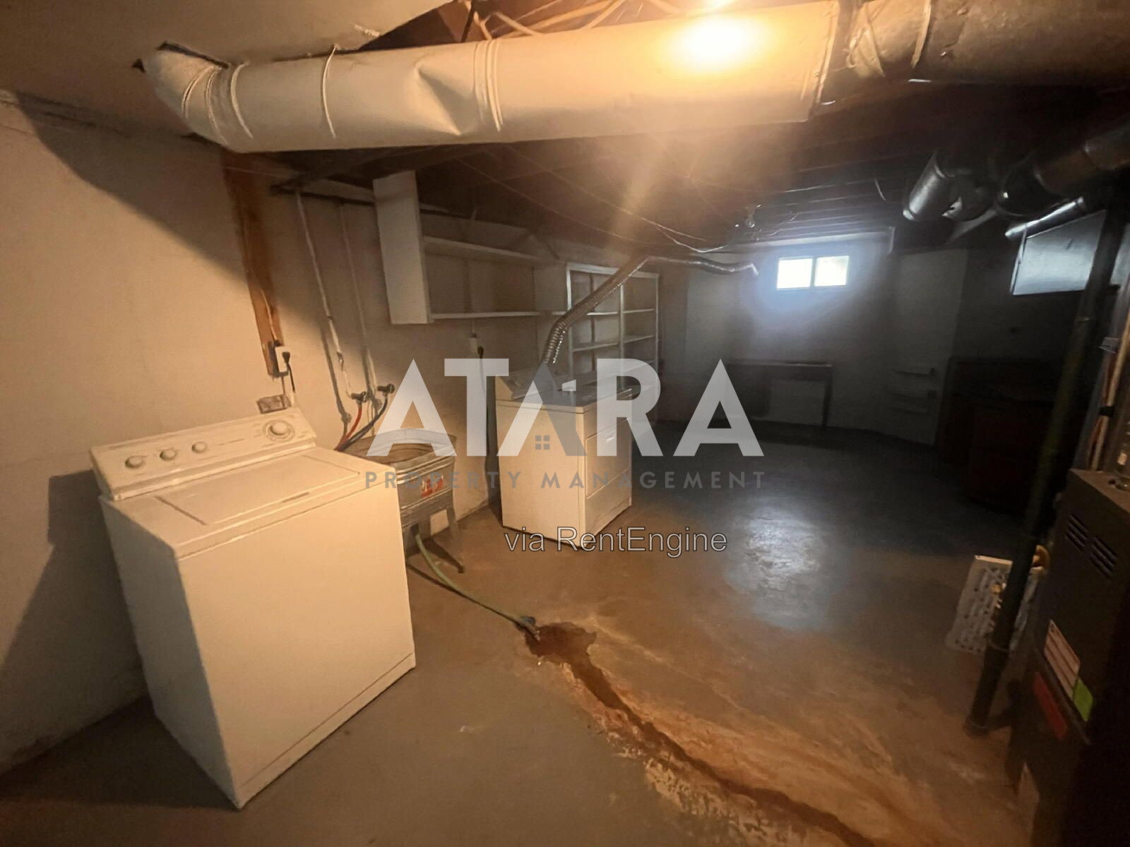 Gallery Image 22