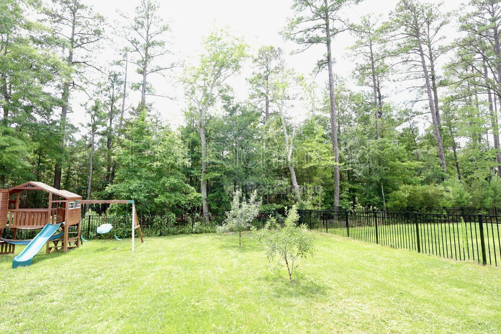 Gallery Image 41