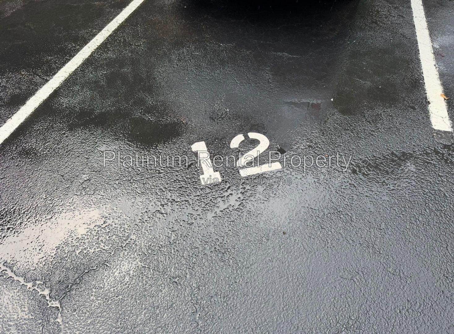 Gallery Image 32