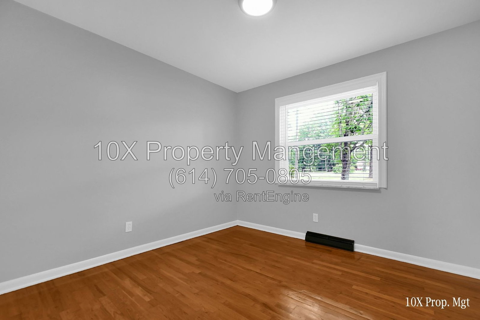 Gallery Image 17