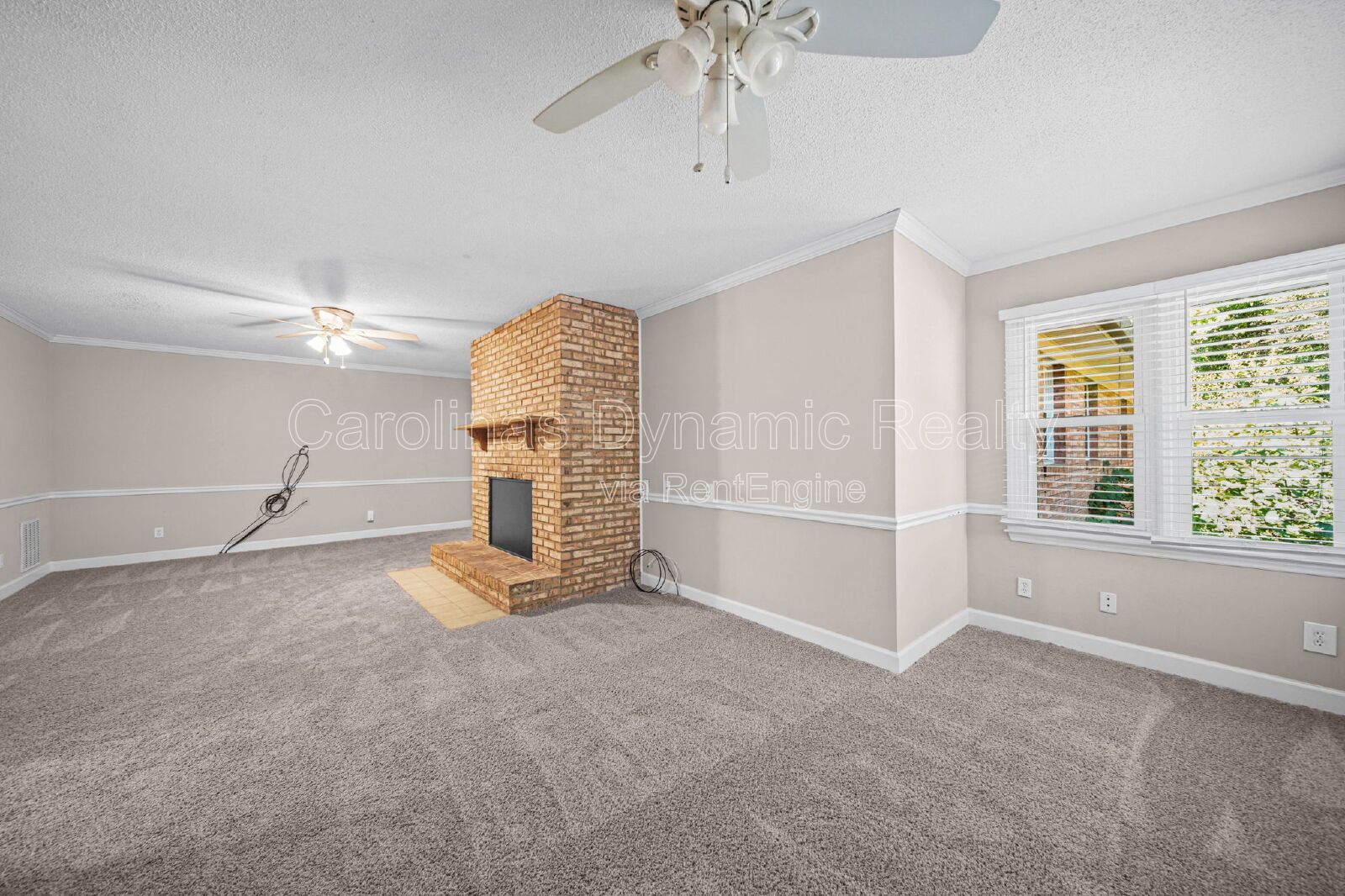 Gallery Image 19