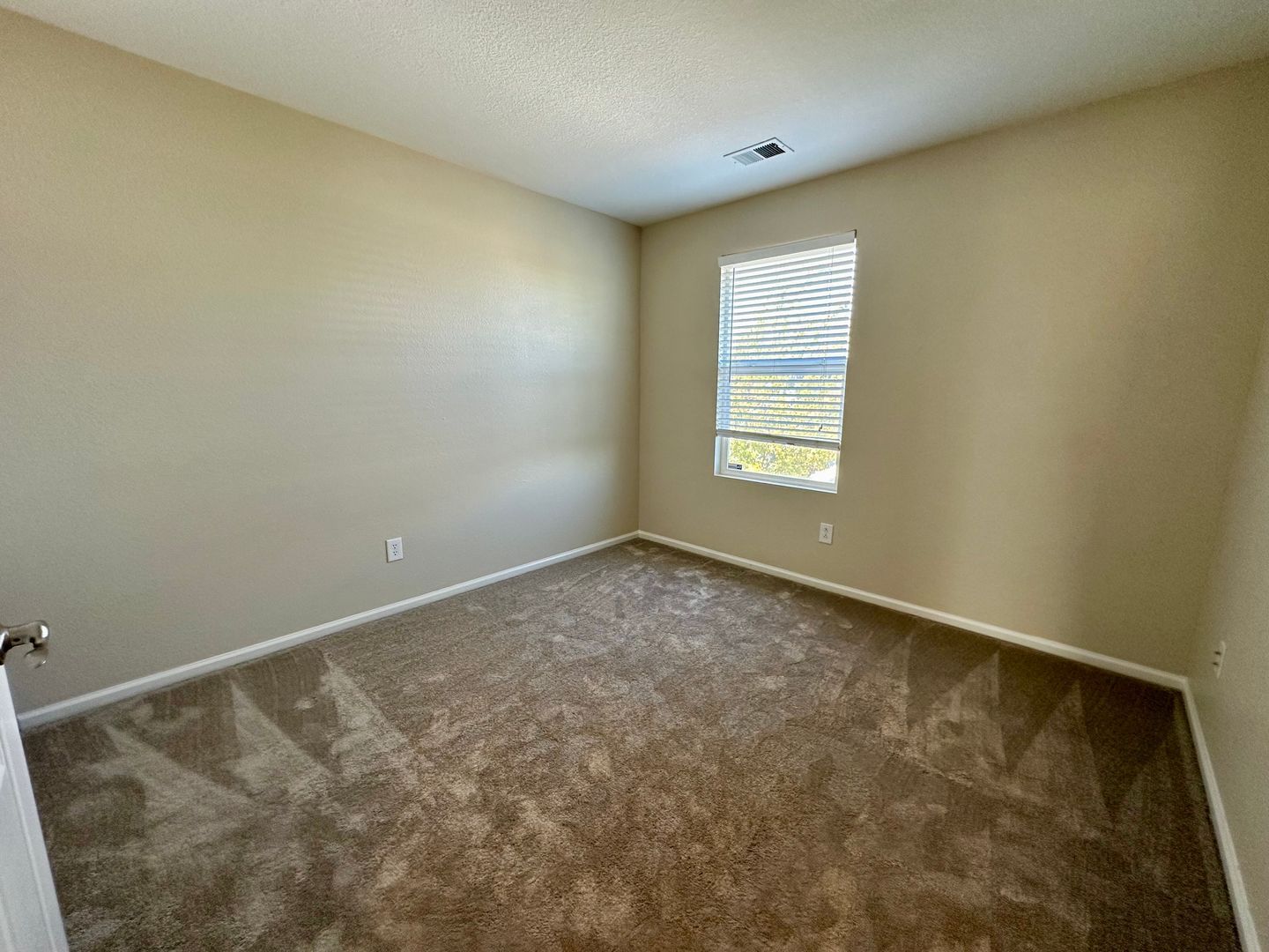 Gallery Image 19