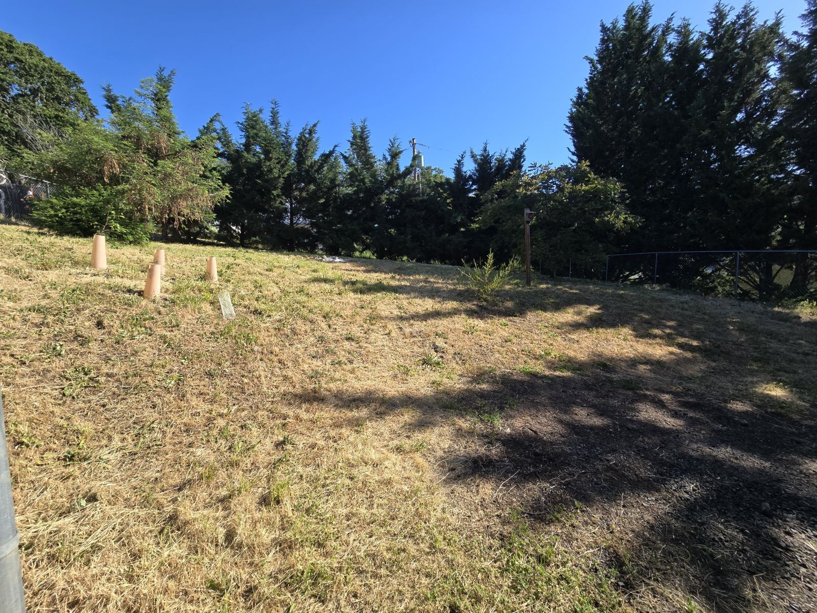Gallery Image 21
