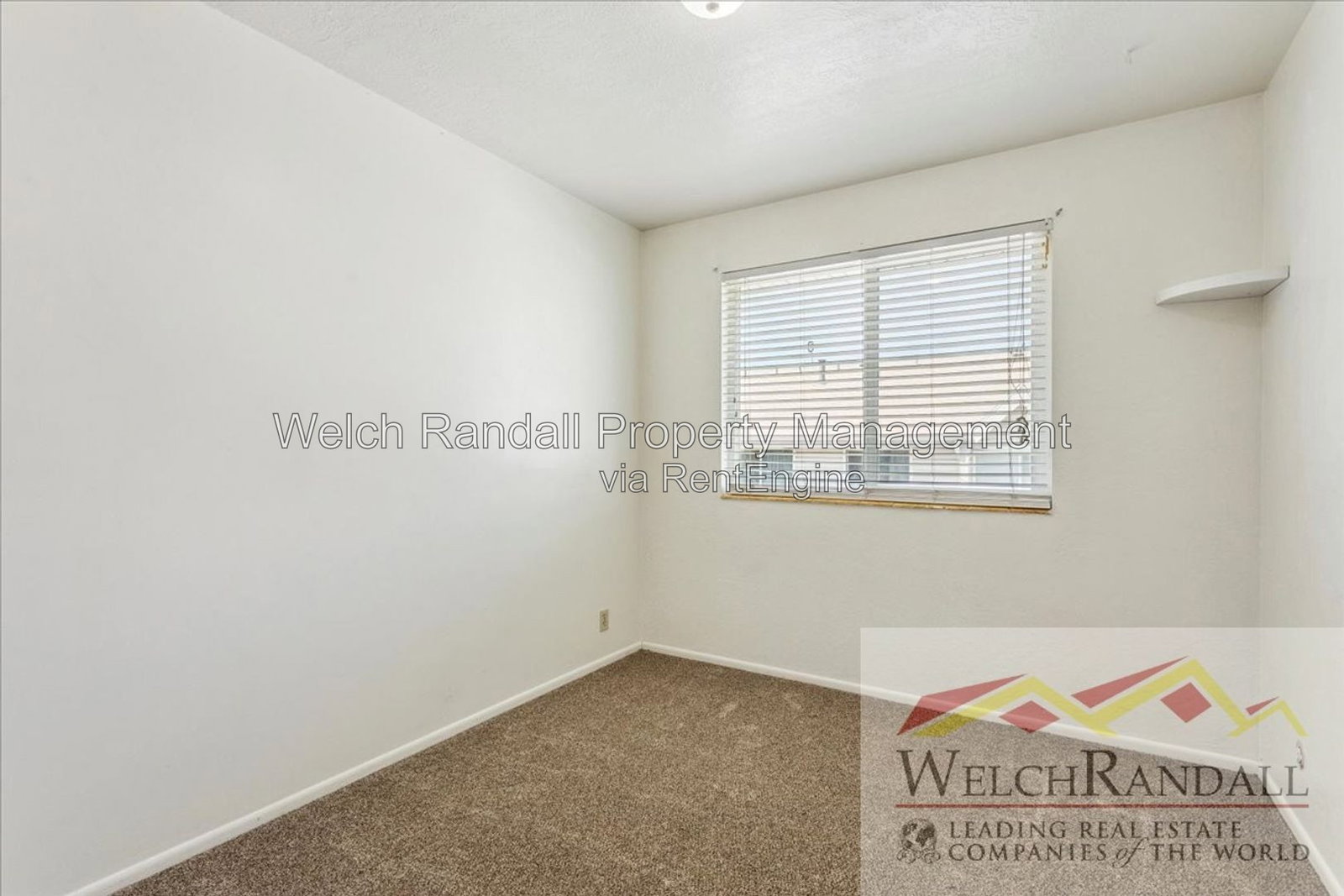 Gallery Image 14