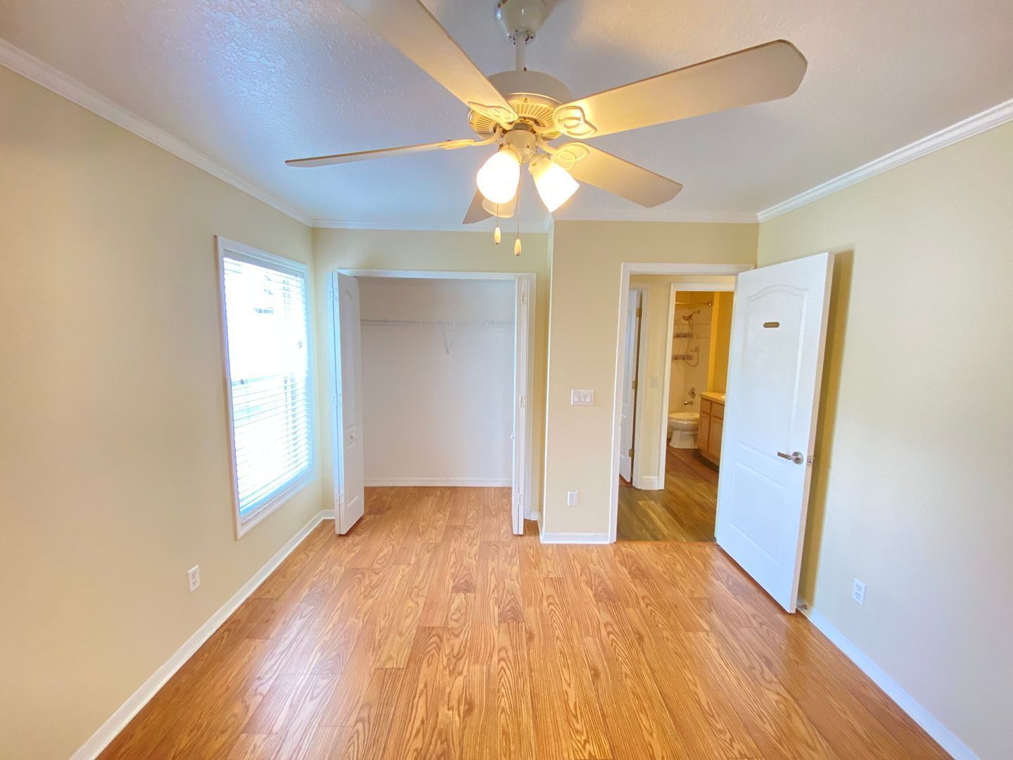 Gallery Image 18