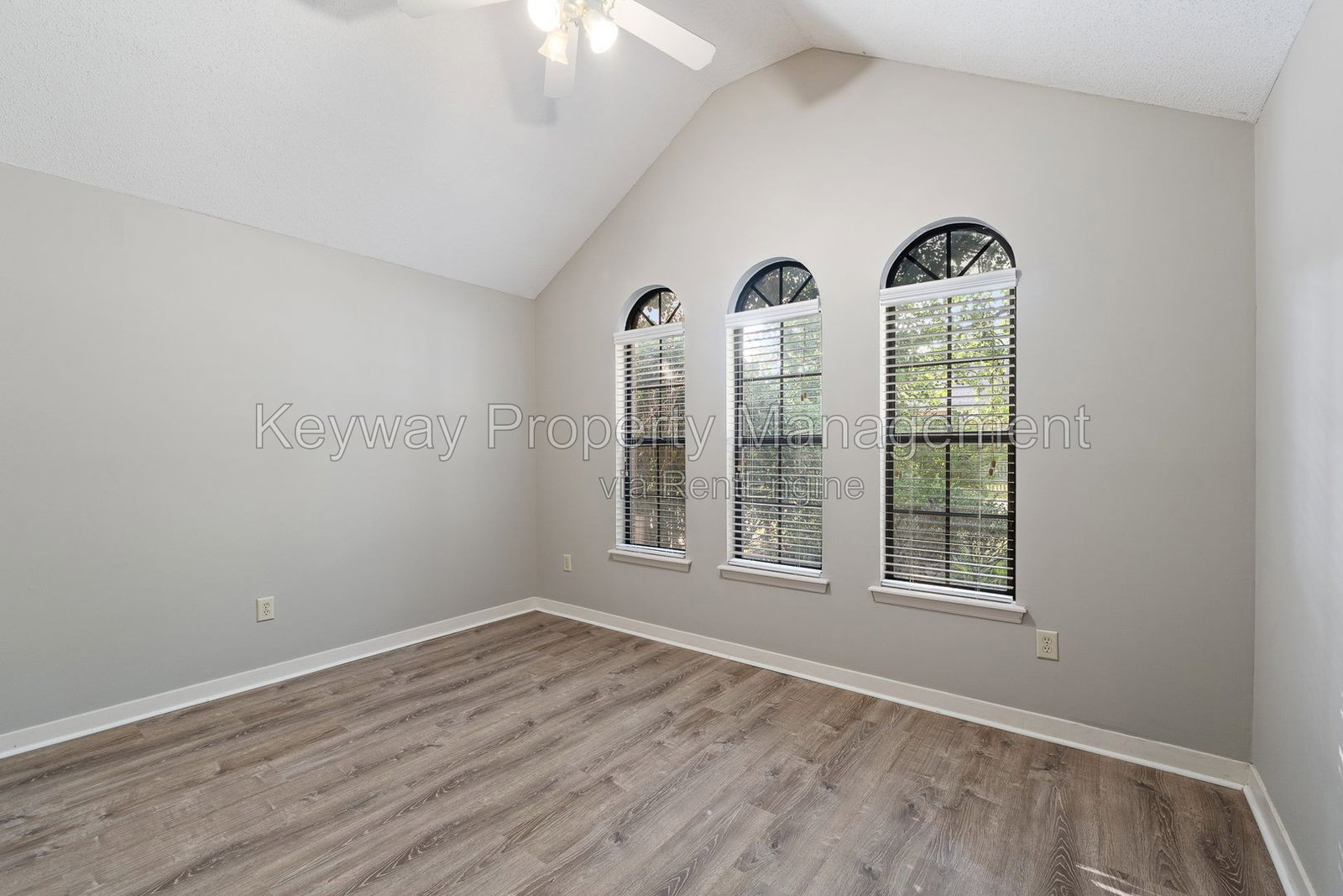 Gallery Image 19