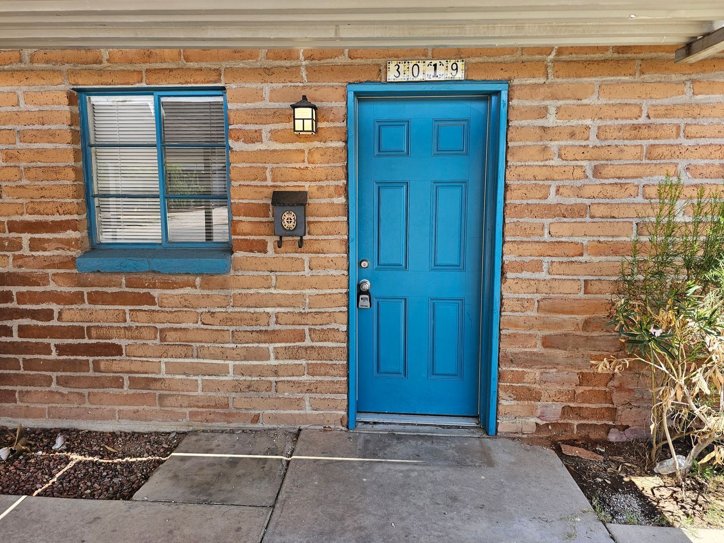 Gallery Image 0