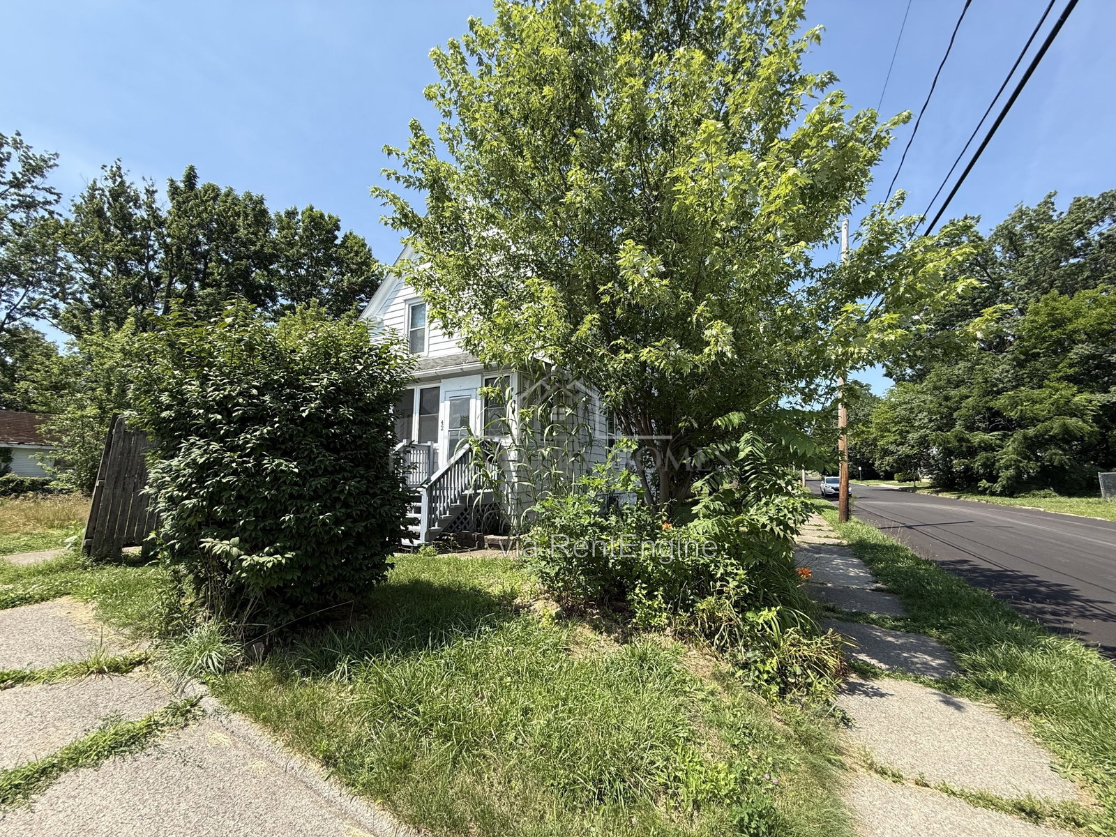 Gallery Image 15