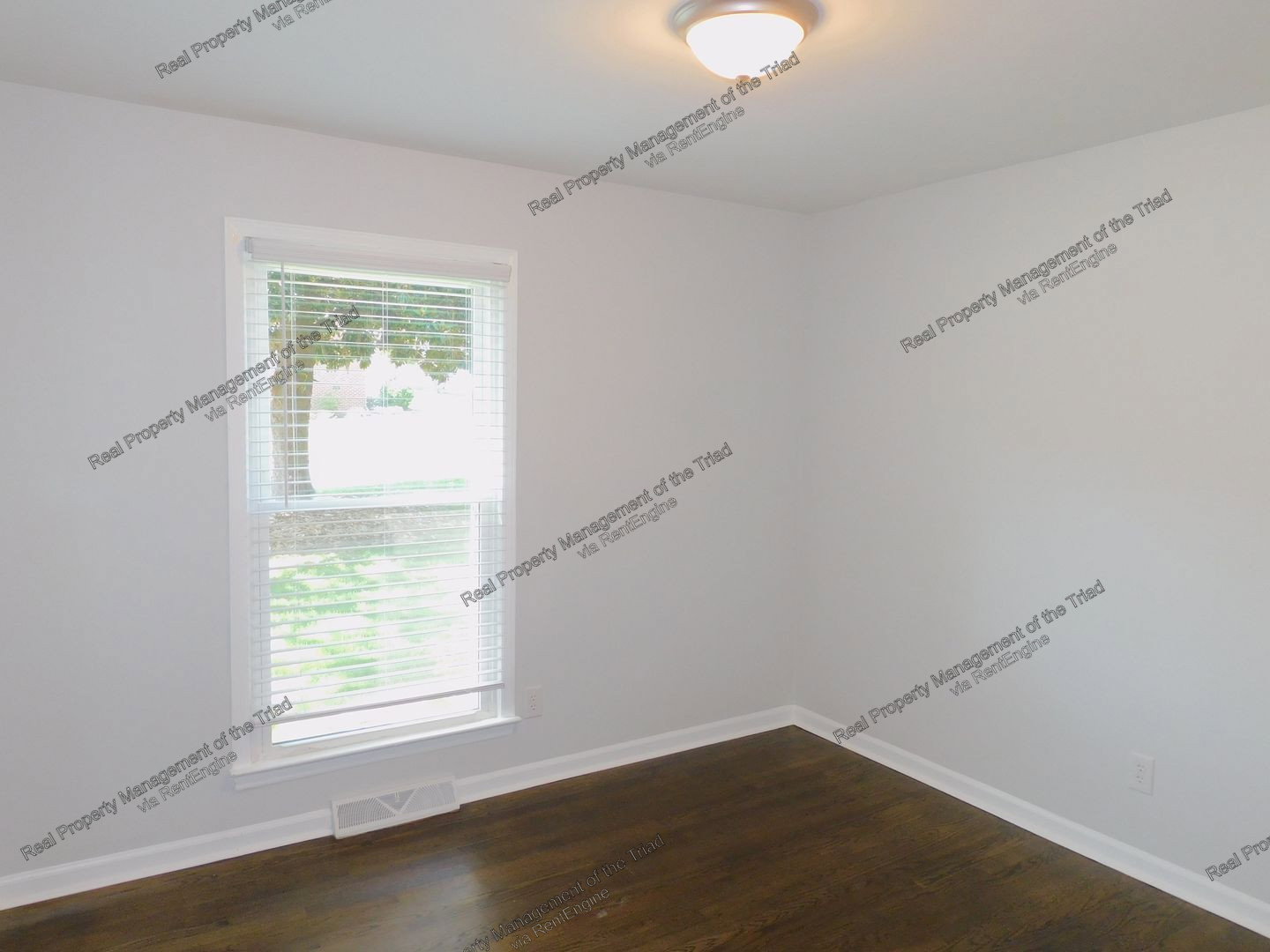Gallery Image 19